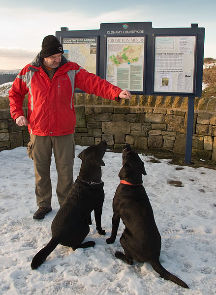 Joe, Jake and Milo Joe, Jake and Milo