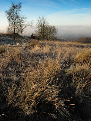 Crompton Moor on a frosty morning.