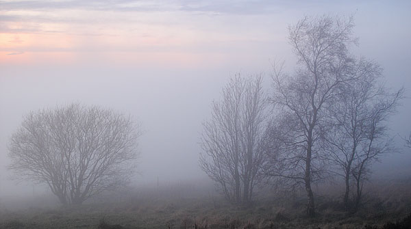 Crompton Moor in the mist.