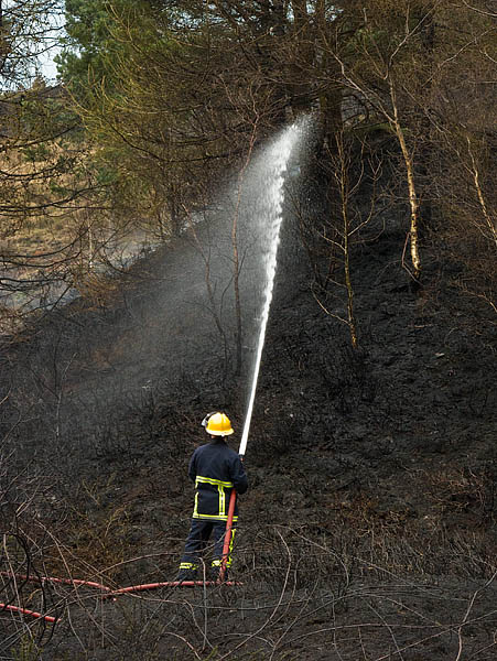 Damping Down 6th April 2009 Damping Down 6th April 2009