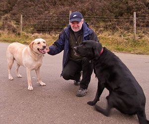 David, Lady and Flash