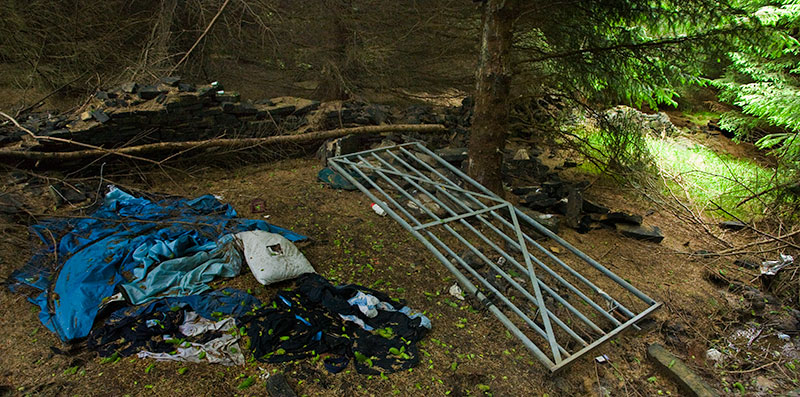 A drinking den in the wood. A drinking den in the wood.