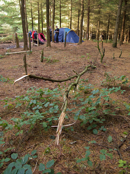 Evidence 2-4 Evidence 2-4