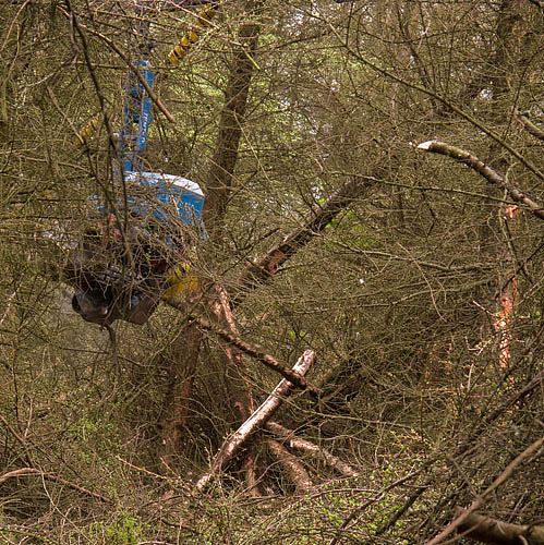 The jaws at work The jaws at work