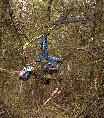 The jaws at work The jaws at work