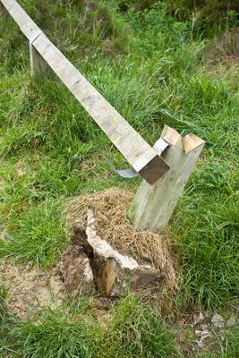 Fence damage Fence damage