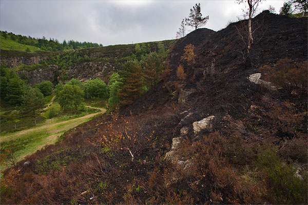 Fire damage in Pingots Quarry Fire damage in Pingots Quarry