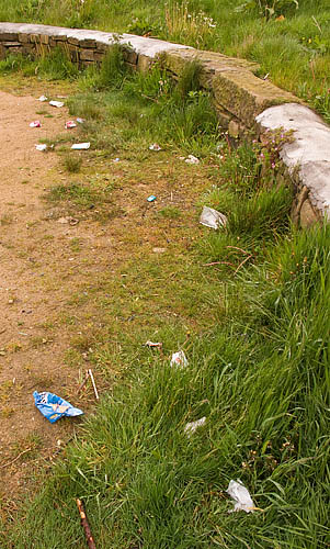 More rubbish. More rubbish.