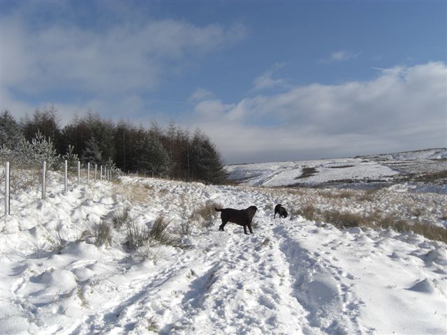 Lovat and Dennis Lovat and Dennis