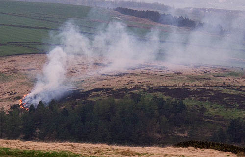 Moorland Fire 16th April 2009 Moorland Fire 16th April 2009