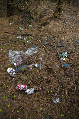 More buried rubbish More buried rubbish