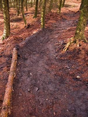 New Illegal Trail New Illegal Trail