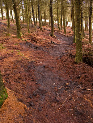 New Illegal Trail New Illegal Trail