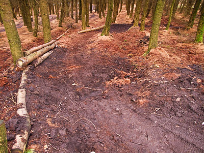 New Illegal Trail New Illegal Trail