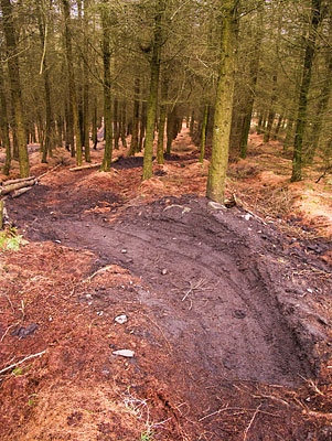 New Illegal Trail New Illegal Trail