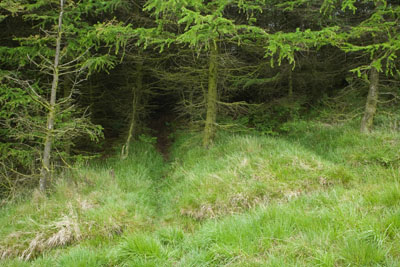 New entry point New entry point