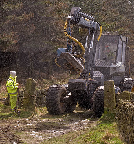 Post removal, first try. Post removal, first try.