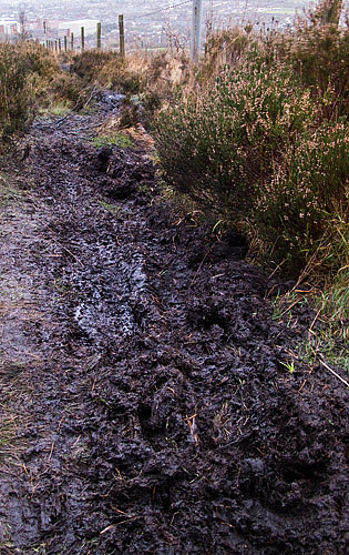 Further damage to the paths. Further damage to the paths.