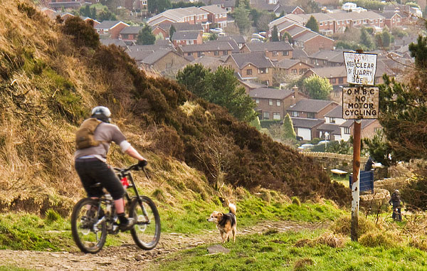 A mountain biker speeds down the footpath towards the carpark A mountain biker speeds down the footpath towards the carpark