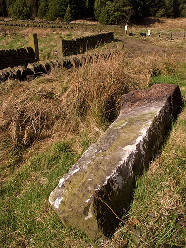 Discarded stone post, notice the damage caused by the machine jaws. Discarded stone post, notice the damage caused by the machine jaws.
