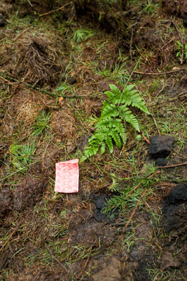 The Fruitella wrapper The Fruitella wrapper