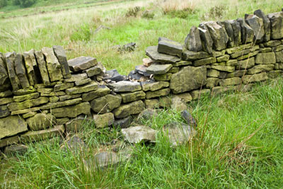 Wall damage Wall damage