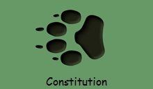 Constitution