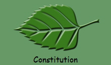 Constitution