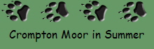 Crompton Moor in Summer