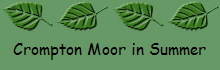 Crompton Moor in Summer