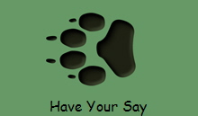 Have Your Say