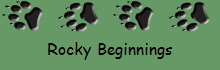 Rocky Beginnings
