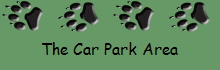 The Car Park Area