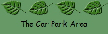 The Car Park Area