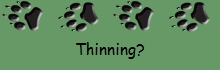 Thinning?