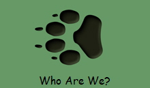 Who Are We?