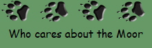 Who cares about the Moor