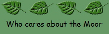 Who cares about the Moor