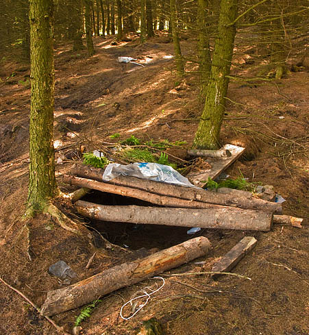 Trees being undermined and deep hole left from digging earth by the ramps. Trees being undermined and deep hole left from digging earth by the ramps.