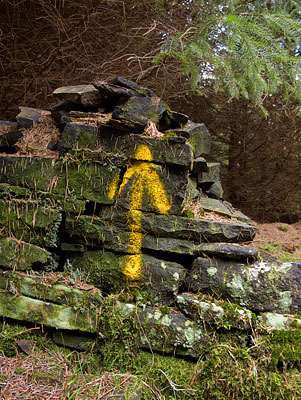 yellow-arrow yellow-arrow