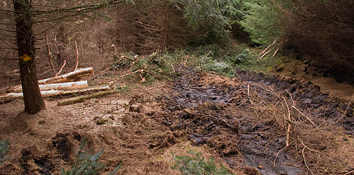 Notice the yellow arrow marking the cycle track? Notice the yellow arrow marking the cycle track?