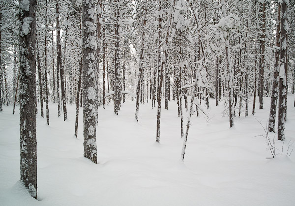 Camp  Location - Ice Raven - Sub Zero Adventure - Copyright Gary Waidson, All rights reserved.