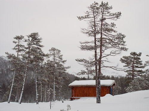 Hokkaido Norway - Ice Raven - Sub Zero Adventure - Copyright Gary Waidson, All rights reserved.