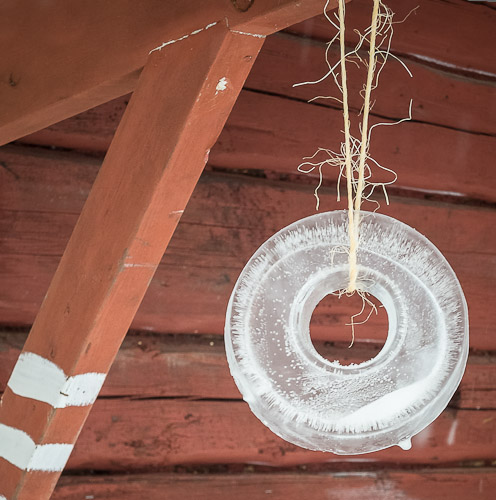 Ice Decoration - Ice Raven - Sub Zero Adventure - Copyright Gary Waidson, All rights reserved.