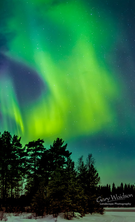 Jokkmokk-Aurora-Seven