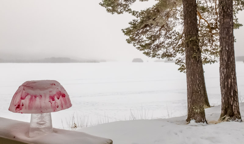 Jokkmokk Trip 2017-87