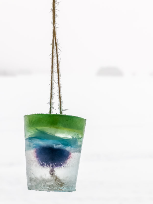 Jokkmokk Trip 2017-90