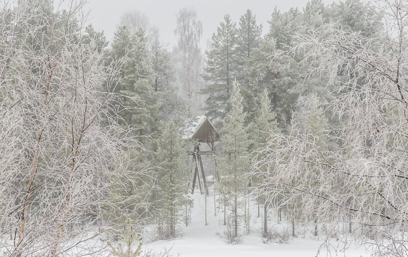 Jokkmokk Trip 2017-93