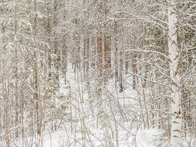 Jokkmokk Trip 2017-94