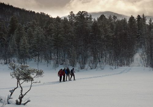 Setting out across the ice - Ice Raven - Sub Zero Adventure - Copyright Gary Waidson, All rights reserved.
